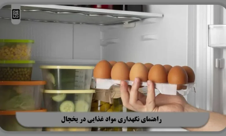 راهنمای نگهداری مواد غذایی در یخچال: فوتوفنهایی که کمتر گفته شدهاند راهنمای نگهداری مواد غذایی در یخچال: فوتوفنهایی که کمتر گفته شدهاند