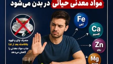 جذب مواد معدنی حیاتی در بدن