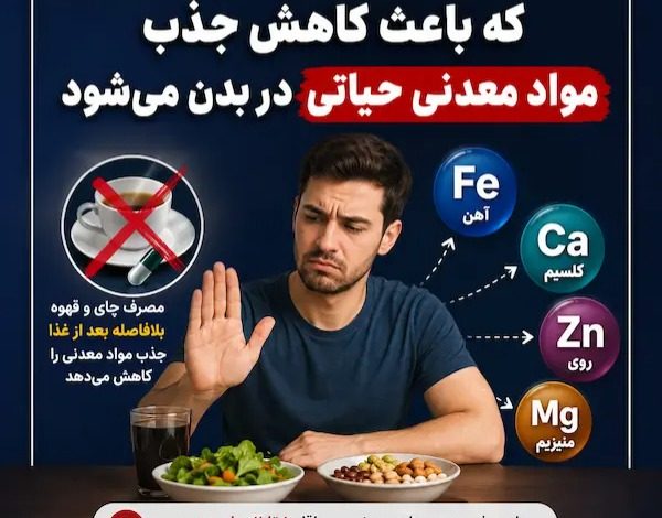 جذب مواد معدنی حیاتی در بدن
