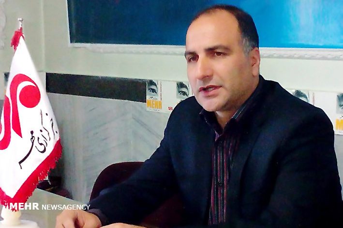 رکورد تولید گندم شکسته شد