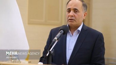 نوری: برای اصلاح نظام نان باید تفکیک وظایف شود