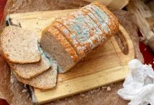 بلایی که خوردن نان کپک‌زده بر سر بدن می‌آورد؛ چه باید کرد؟ + روش های