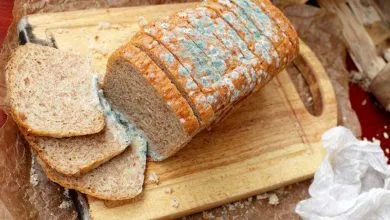 بلایی که خوردن نان کپک‌زده بر سر بدن می‌آورد؛ چه باید کرد؟ + روش های