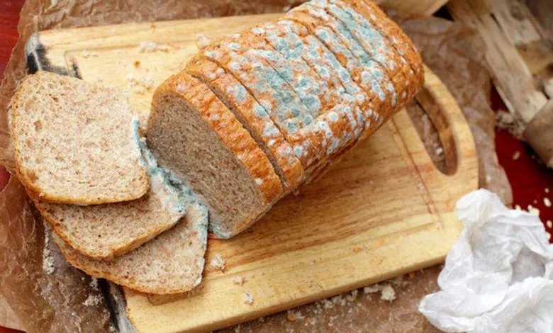 بلایی که خوردن نان کپک‌زده بر سر بدن می‌آورد؛ چه باید کرد؟ + روش های