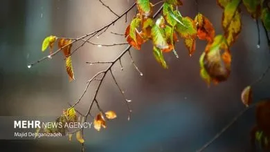 هواشناسی ایران امروز ۵ شهریور؛ بارش پراکنده و وزش باد در ...