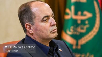 نوری قزلجه: وضعیت ذخایر کالاهای استراتژیک از زمان جنگ افزایشی است