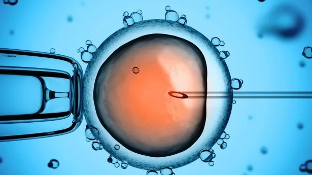 کمبود این ویتامین شانس موفقیت IVF را کم میکند؟