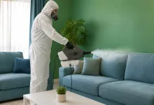 افق پارس؛ بهترین و معتبرترین شرکت سمپاشی ساس سوسک موش کنه موریانه گال بید مایت شپش در تهران و البرز