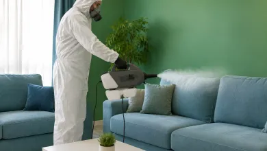 افق پارس؛ بهترین و معتبرترین شرکت سمپاشی ساس سوسک موش کنه موریانه گال بید مایت شپش در تهران و البرز