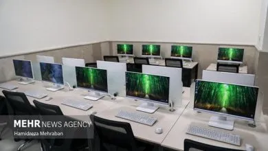 بیش از ۱۹۵ هزار کسب‌وکار روستایی سال ۱۴۰۴ ایجاد شد